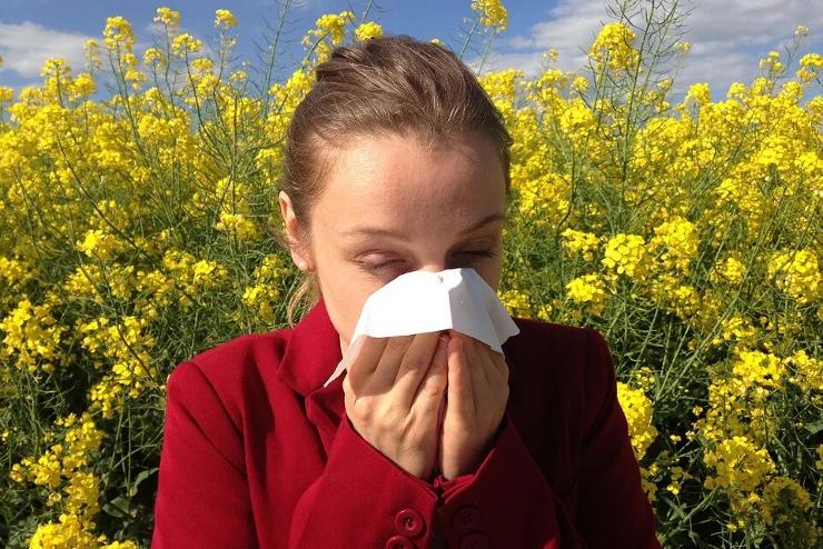 NNK: megkezddtt a pollenszezon