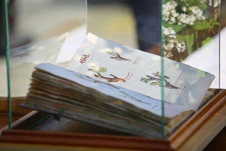 Kszegi hagyomny: idn online lehet kvetni a szlhajtsok bejegyzst