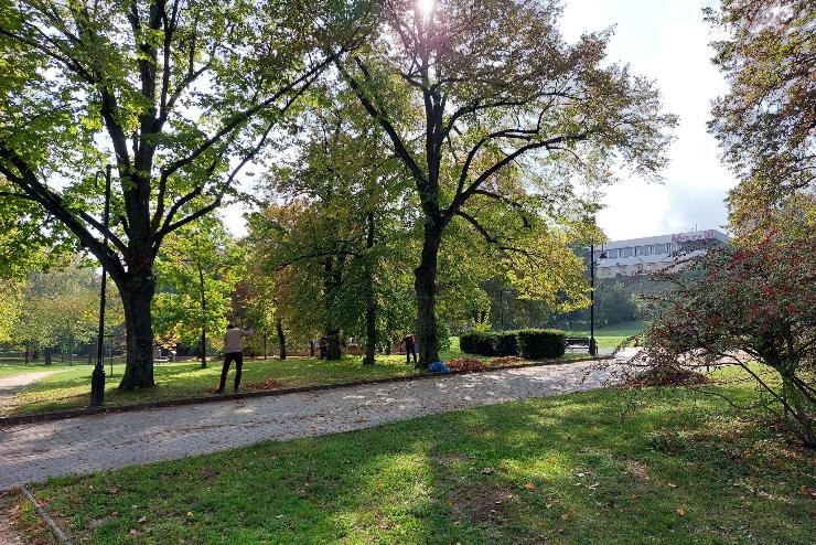 A Szent István parkban takarított az egyesület