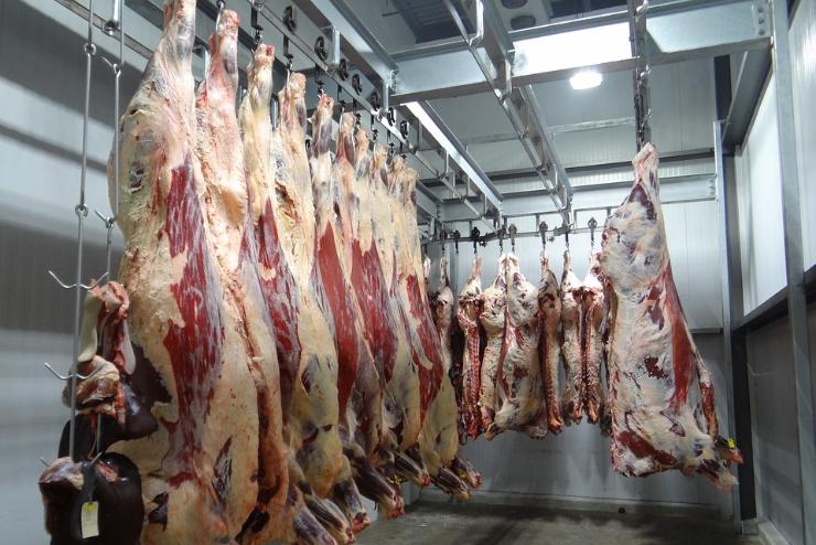Vádemelés: hűtés nélkül szállította Magyarországra a sertéshúst 