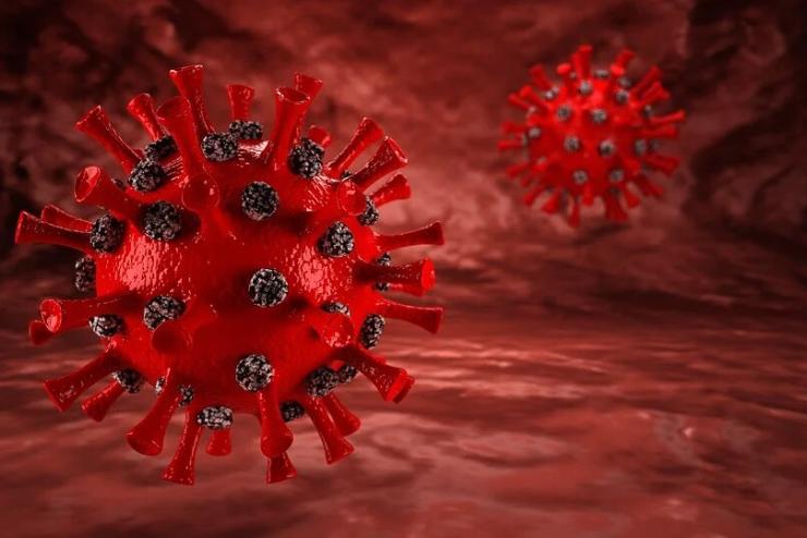 Megjelentek a koronavírus-járványra hivatkozó csalók is 