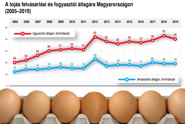 Tojásszövetség: húsvétig már nem változik a tojás ára