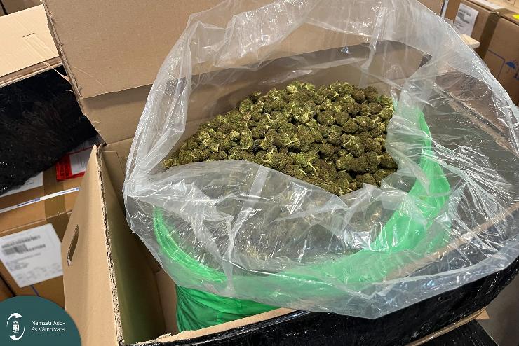 Több mint húsz kiló kábítószert találtak egy küldeményben 