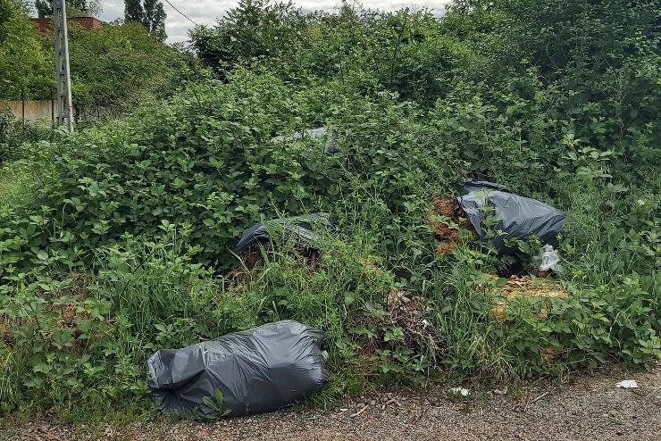 Kutyafuttatn levegzhetnek majd az ebek az hen Gyula laktelepen