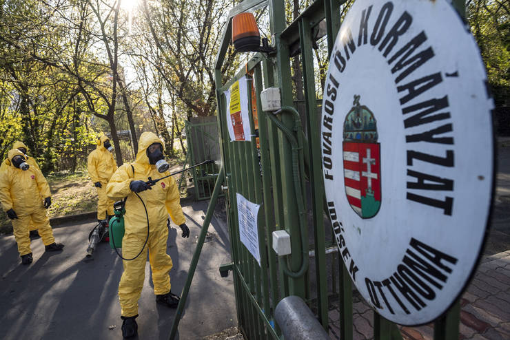 A krhzi gyak 60 szzalknak felszabadtsra azrt van szksg, hogy mindenki elltshoz jusson 