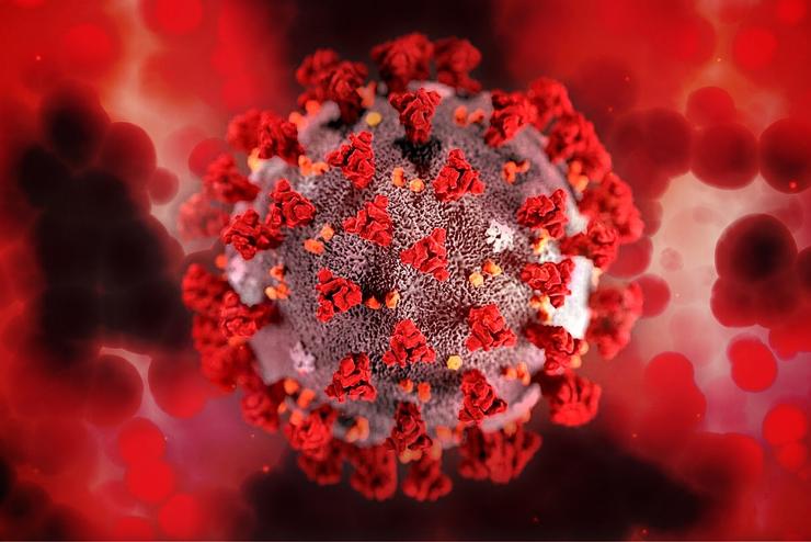 Dél-afrikai szakértő: nem okozott súlyos betegséget az omikron vírusváltozat