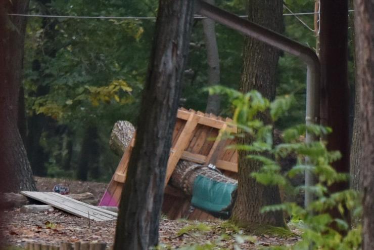 Egy halott a gyngysfalui kalandparkban, kidlt fa rntotta el a drtktlplyt 