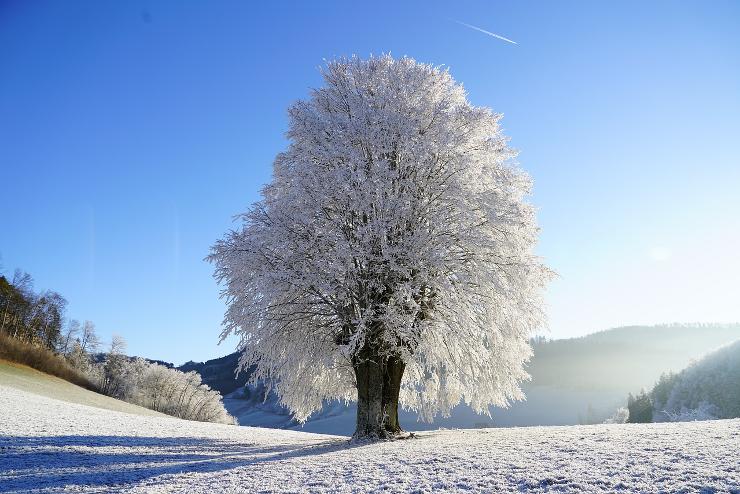 Meteorológia: az idei tél eddigi leghidegebb szakasza jöhet