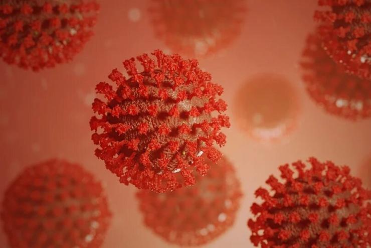 Belgiumban beoltott idősek halálát okozta a koronavírus kolumbiai variánsa
