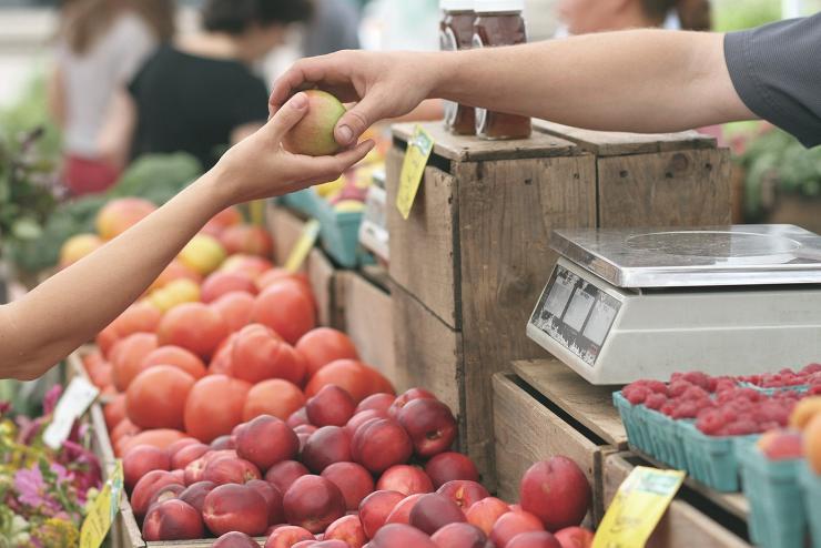 Kedvezett a csapadékos nyár a hazai almaültetvényeknek