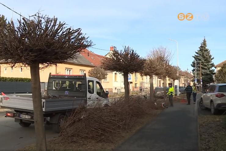 Fametszs, lomhbzs, tisztts: a vros tbb rszn is dolgoznak a Szompark munksai