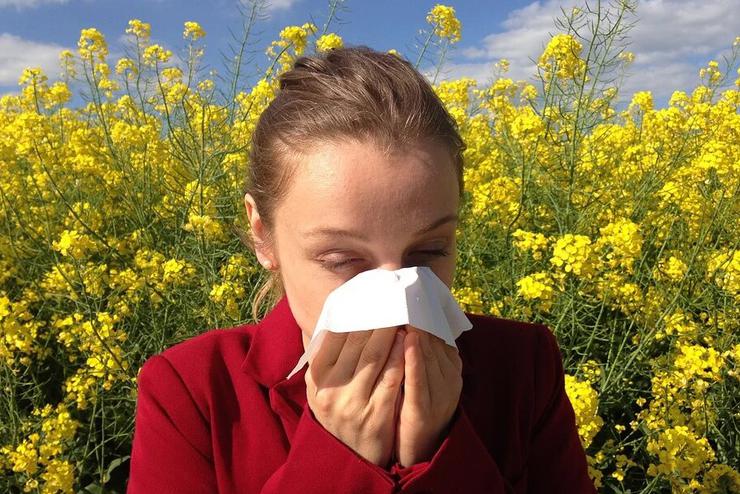 Az allergisok tovbbra sem llegezhetnek fel