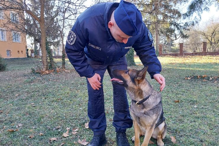 gretes jv vr Doriszra, aki nyomkvet kutyaknt teljest szolglatot