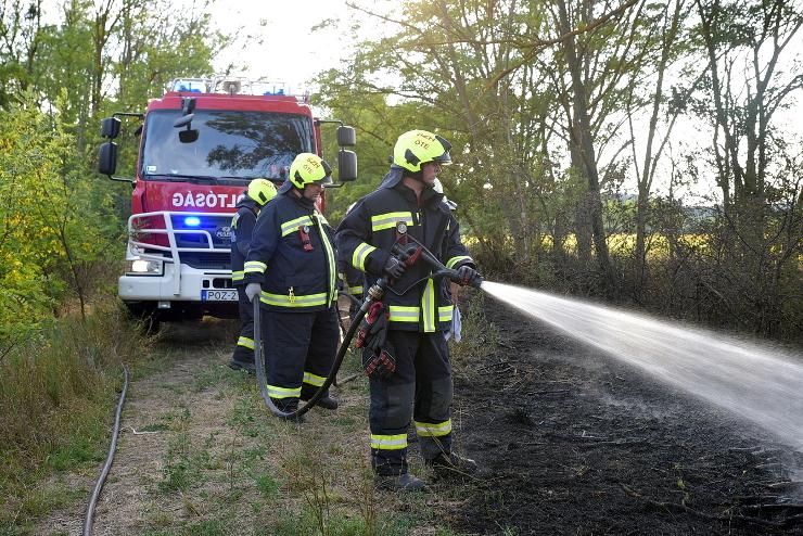 Tűz volt egy túraútvonal mellett Szombathely határában