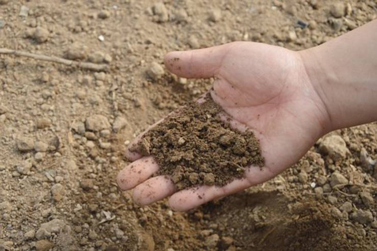 Szennyezett talaj helyreállítására alkalmas technológiát fejlesztettek ki