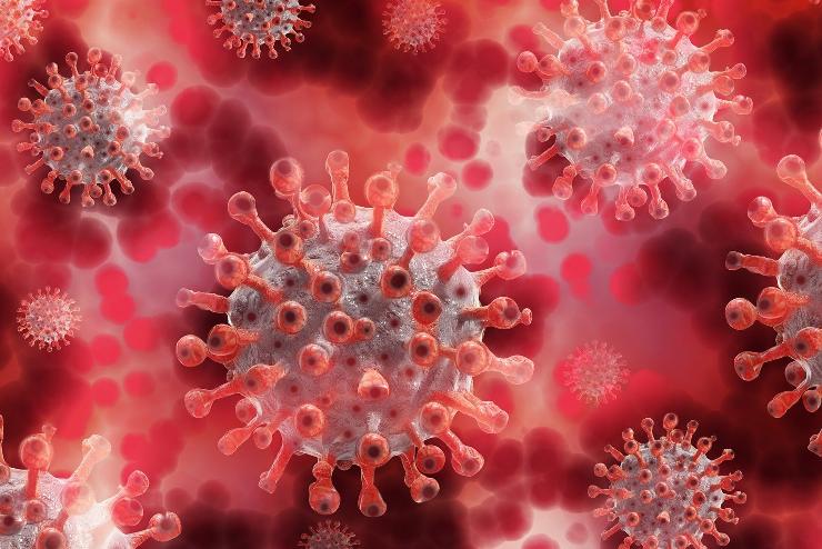 Pozitív koronavírus-teszt miatt maradt el a Felsőcsatár Táplánszentkereszt elleni mérkőzése