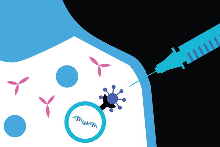Kutatások szerint az mRNS-vakcinák a vírus átadását is gátolják