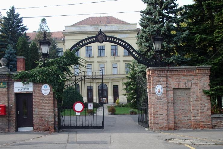 Fbin Attila vezeti augusztustl a Soproni Egyetemet
