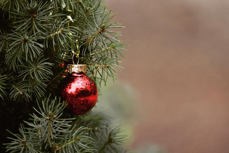 Karácsony - Csaknem 10 százalékkal drágulhat idén a karácsonyfa
