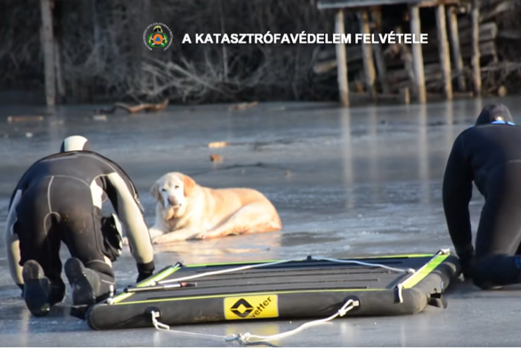 Kutyát, embert, őzet és rókát is mentettek a jégről: így kerüld el a bajt