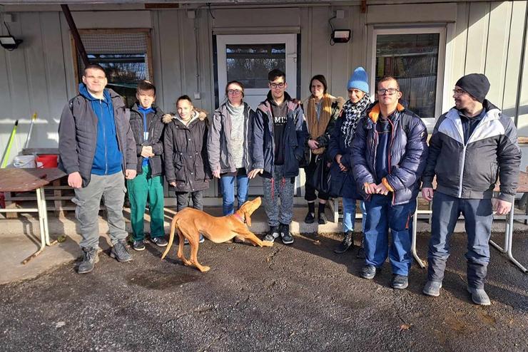 Kőszegi diákok segítettek a Fekete István Állatvédő Egyesület menhelyén
