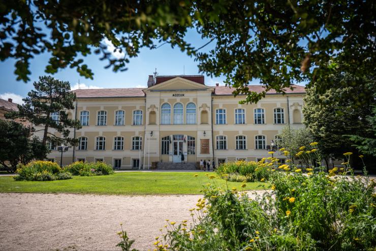 Üvegművészet, az év állatai, nő térben és időben, forradalom – rendkívül...